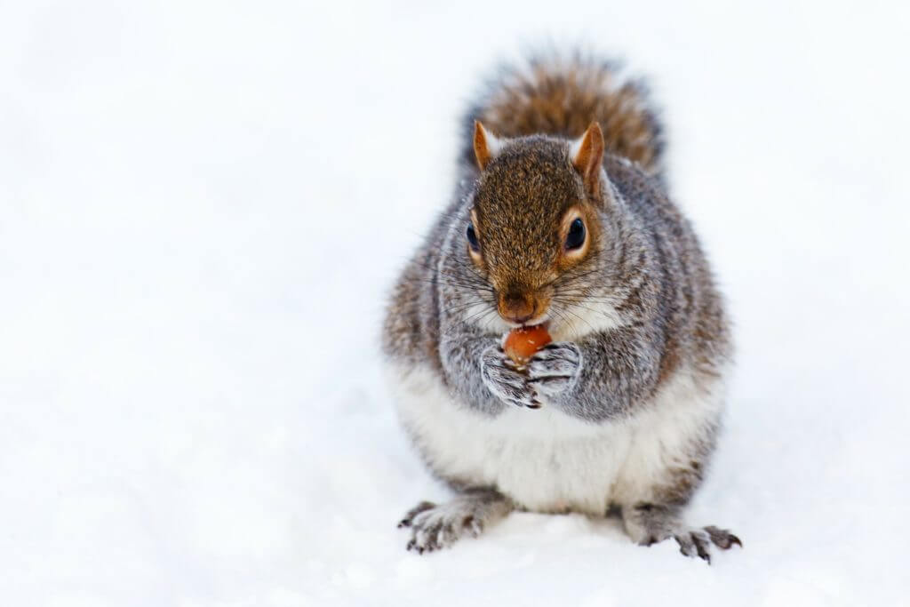 Les bienfaits du froid sur le corps 